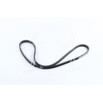 Ремінь поліклин. 3PK1010 (вир-во DONGIL) 