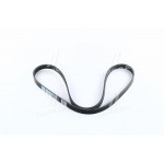 Ремінь поліклин. 5PK1170 (вир-во DONGIL) 