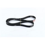 Ремінь поліклин. 6PK1281 (вир-во DONGIL) 