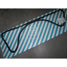 Прокладка поддона D.A.F. XF250/280/315/355M длинная (пр-во Payen)