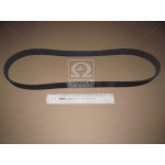 Ремень поліклиновий (вир-во Contitech) 