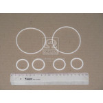 Ремкомплект теплообмінник маслян.філ. двиг. ЄВРО-1,2 (силік. кільця) (2 найм.) (вир-во ГарантАвто) 