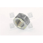 Гайка М27х1, 5 балансира підв. задн. КамАЗ <ДК> 