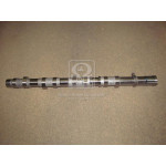 Шток лівий D4CB 2.5 (вир-во Mobis) 