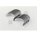 Вкладиші Еталон корінь R3 комплект (RIDER) 