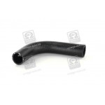 Патрубок радіатора МТЗ 822,922,923,1005,1025 верхній <ДК> 