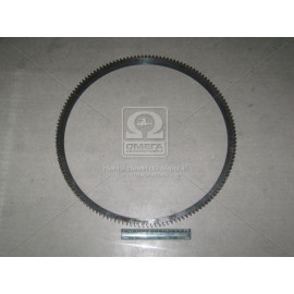 Вінець маховика Д 240,243,245 під стартер (вир-во JOBs, Юбана)