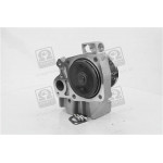 Насос водяний FIAT DUCATO 94-02  (RIDER) 