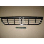 Грати бамп. середн. VW PASSAT B6 05- (вир-во TEMPEST) 