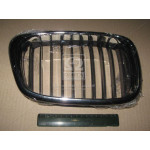 Грати в капоті пра. BMW 5 E39 (вир-во TEMPEST) 