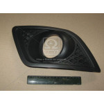 Грати в бамп. пра. F. FIESTA 06-08 (вир-во TEMPEST) 