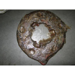 Диск нажимной МТЗ-1221,1523 (н.зр.) (вир-во ВЗТЗЧ) 