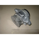 Водяной насос (пр-во KS) 