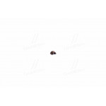 Клин клапана   (пр-во KS) 