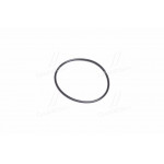 Кільце ущільн. КПП (вир-во PHG корея ОЕ) 