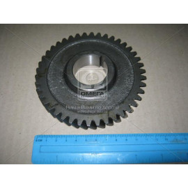 Шестерня приводу масляного насоса Д-240, 243, 245 Z = 42 (вир-во України)