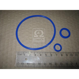 Ремкомплект компресора 1-но циліндрового (3 наим.) син. (вир-во ГарантАвто)