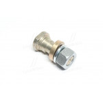 Палець ексцентриків в зб. ГАЗ 3307,4301 ПАЗ 