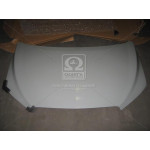 Капот CV AVEO T300 12- (пр-во TEMPEST) 