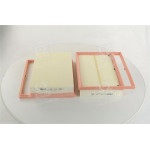 Фільтр повітряний MB S(W220/W221), G(W461/463) 02- (2шт.) (вир-во MANN) 