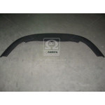 Спойлер бампера пер. VW PASSAT B6 05- (вир-во TEMPEST) 