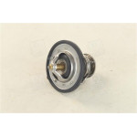 Термостат HYUNDAI ACCENT 00-10, KIA CERATO 04- (Diesel) (RIDER) 