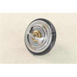 Термостат VW PASSAT 96-05, AUDI 80,100,A4,A6 (RIDER)