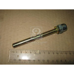 Шток РЦЗ Богдан 10х125 (RIDER) 