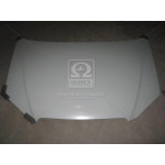 Капот BYD F3 06-13 (ви-во TEMPEST) 