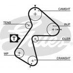 5484XS (8597-15484)  Ремінь ГРМ GATES XS 