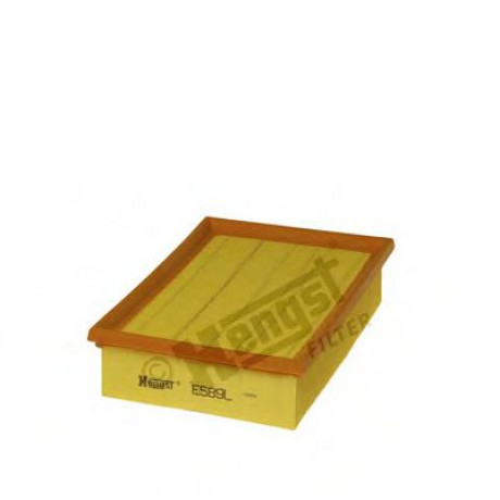 E589L     (HENGST)