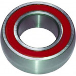 6198  Original Birth - Підшипник піввісі 