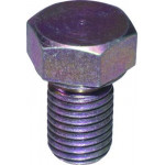 4186  Original Birth - Корок масляного піддона 