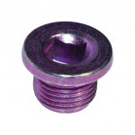 4961  Original Birth - Корок масляного піддона 