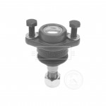 BBJ5136 BORG & BECK - Кульова опора  L/R 