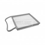 BFA2091 BORG & BECK - Фільтр повітря 