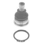 BBJ5527 BORG & BECK - Кульова опора 