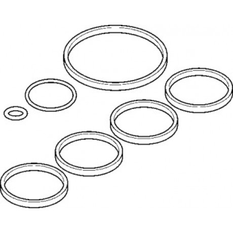 Прокладка коллектора IN FIAT (SET) 169A4/199A4/350A1 (пр-во Elring)