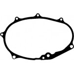 Прокладка  VAG 2.0 TSI (вир-во Elring) 