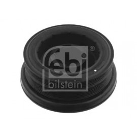 Ремінний шків, колінчастий вал BMW (ви-во Febi)