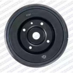 Ремінний шків, колінчастий вал SEAT (Ви-во NTN-SNR) 