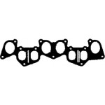 Прокладка двигуна (вир-во PAYEN) 