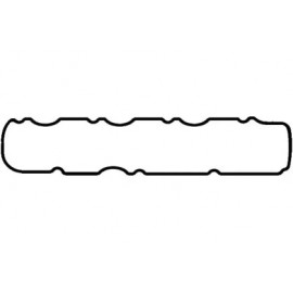 Прокладка двигуна (вир-во PAYEN)