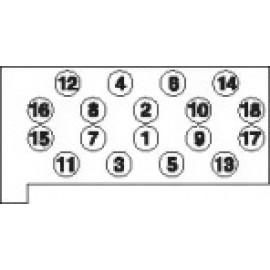 Комплект болтів двигуна (вир-во PAYEN)