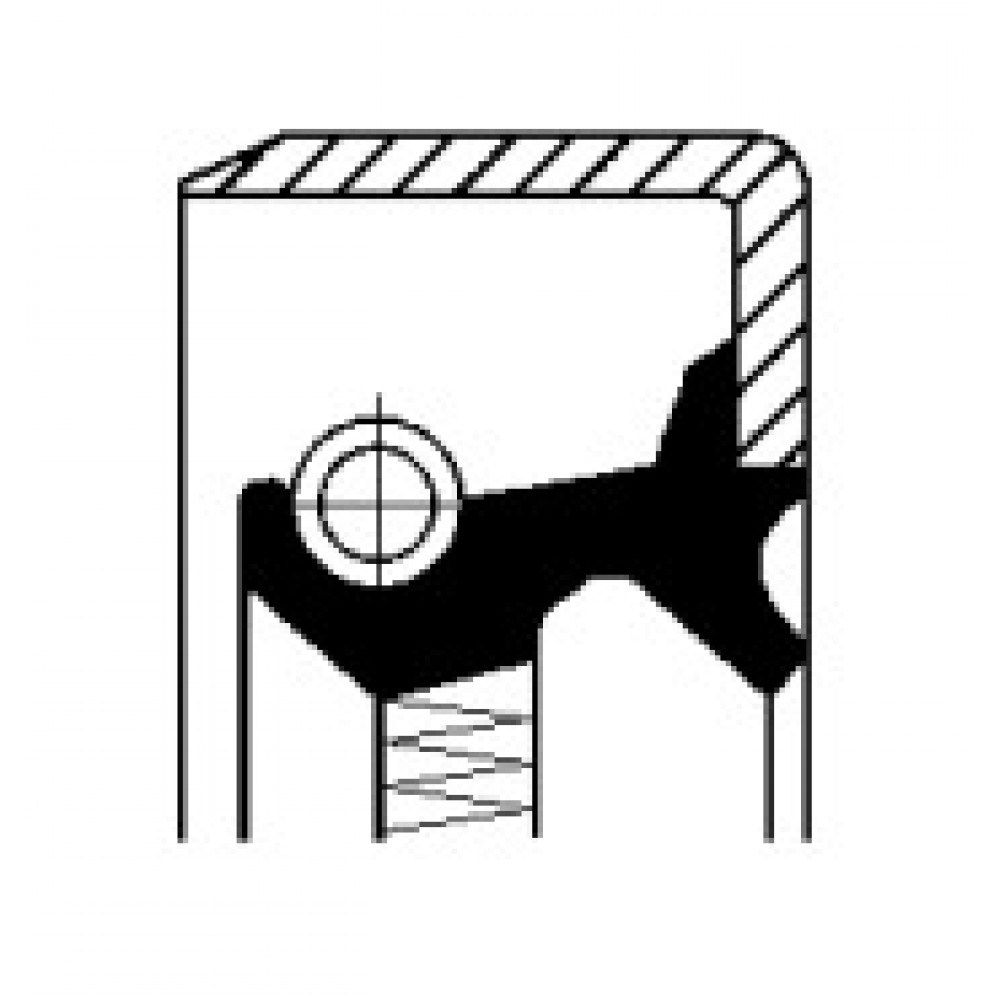 Сальник ступицы заднего моста B1SLSFDRW 73,0X 99,0X 10,0 FKM (пр-во Corteco)