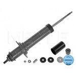 Амортизатор підв. MERCEDES-BENZ BM 163 (M-Class) (02/98-06/05) задн. (вир-во Meyle) 