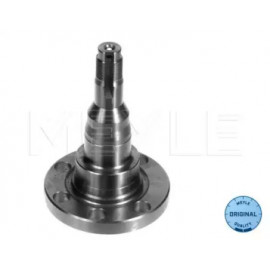 Маточина (поворотний кулак) AUDI 80, SEAT CORDOBA, VW GOLF, PASSAT 73-02 зад. Міст (Вир-во MEYLE)