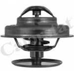 Термостат (вир-во Vernet) 