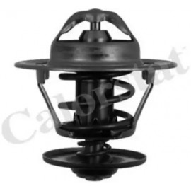 Термостат (вир-во Vernet)