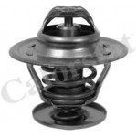 Термостат (вир-во Vernet) 